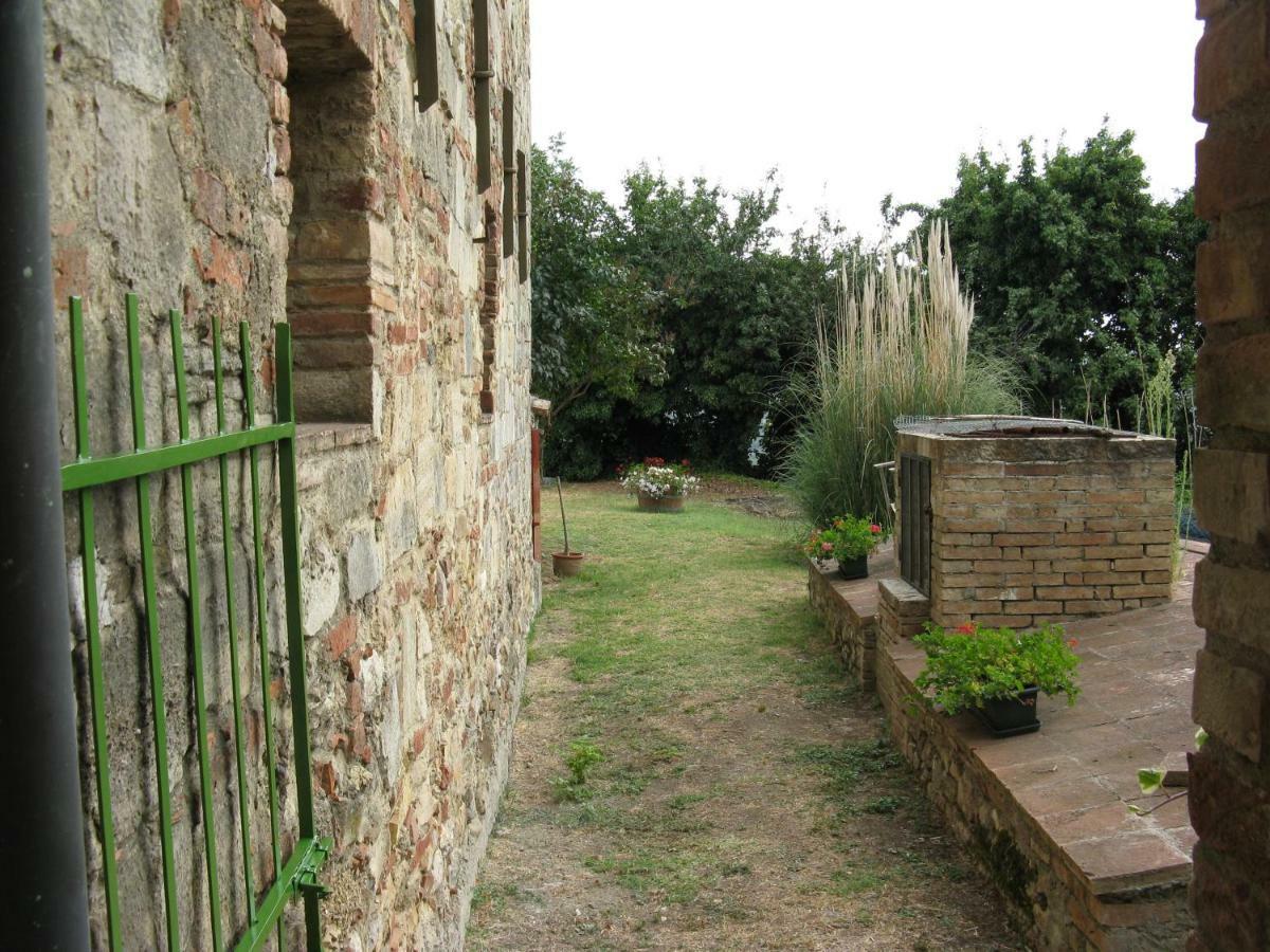 Tognazzi Casa Vacanze - Casa Ailantus Appartamento Fattoria Falsini Esterno foto