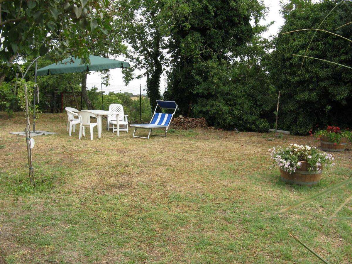 Tognazzi Casa Vacanze - Casa Ailantus Appartamento Fattoria Falsini Esterno foto